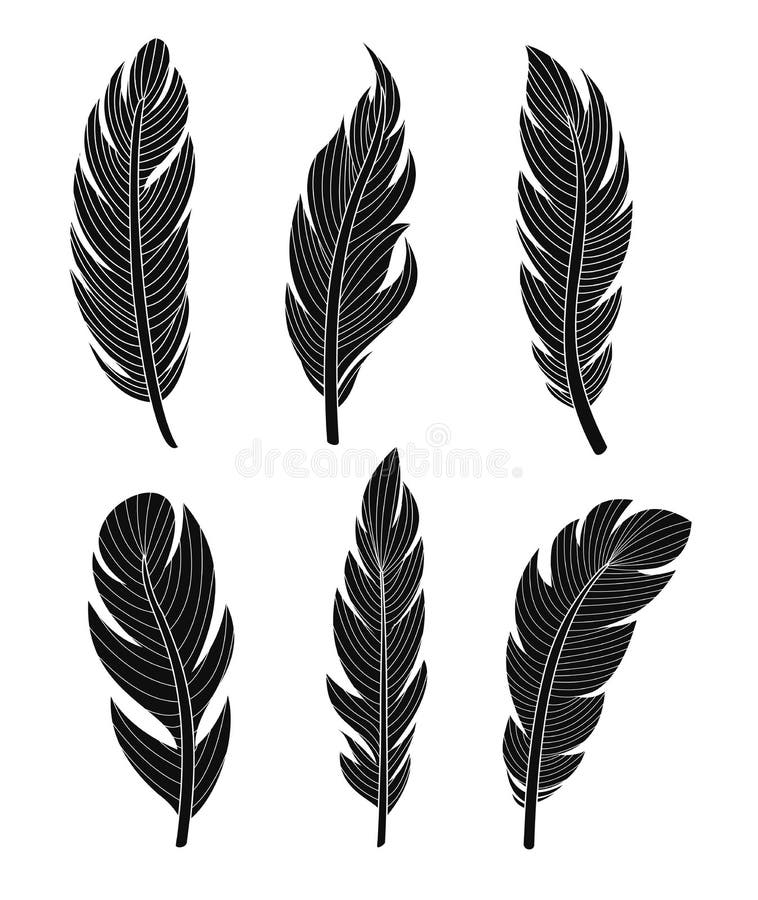 Wektorowy ilustracyjny ustawiający sześć eleganckich sylwetek piórek na białym tle dla twój dekoraci i projekta ilustracji Wektorowy ilustracyjny ustawiający sześć eleganckich sylwetek piórek na białym tle dla twój dekoraci i projekta ilustracji