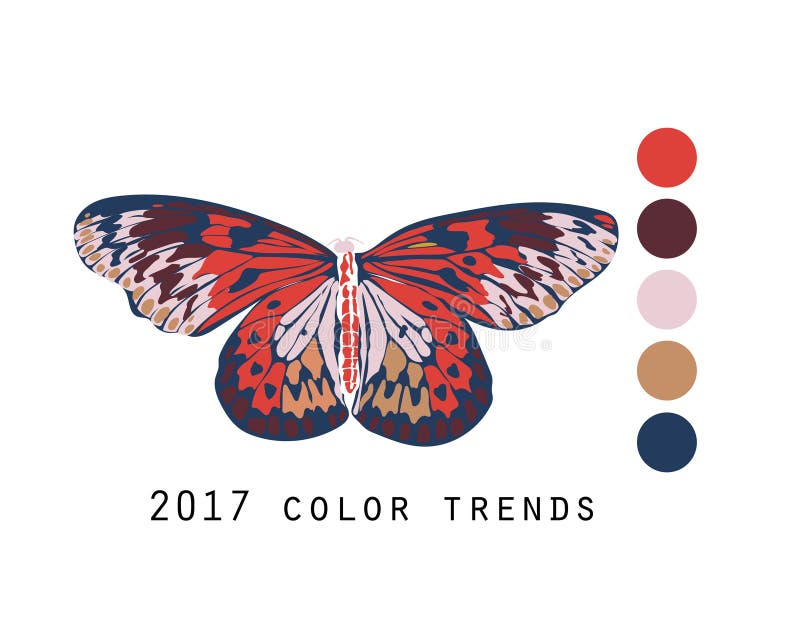 Butterfly in 2017 fall colors. Butterfly in 2017 fall colors.