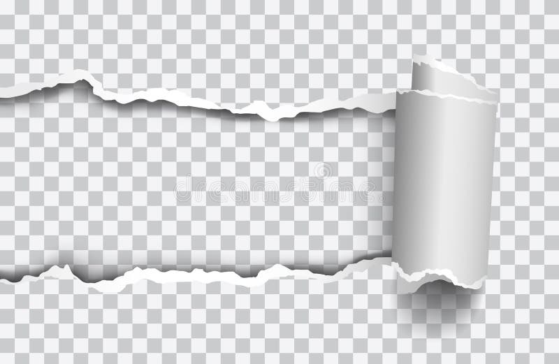 Wektorowy realistyczny drzejący papier z rollled krawędzią na przejrzystym tle ilustracji
