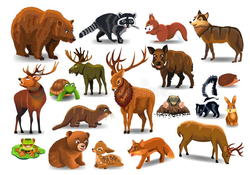 Wektorowy ustawiający dzicy lasowi zwierzęta lubi jelenia, niedźwiedź, wilk, lis, tortoise