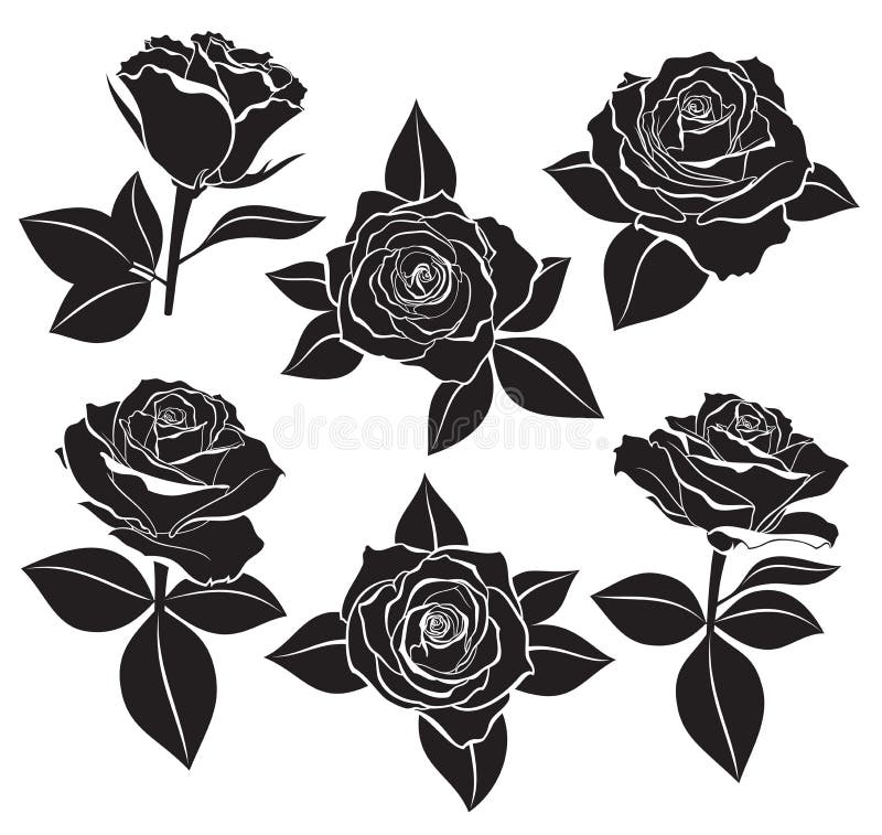 Wektorowy ustawiający Wzrastał pączki, trzony, liście z białą konturową linią i sylwetki w czarnym kolorze, Wektorowa ilustracja ilustracji Wektorowy ustawiający Wzrastał pączki, trzony, liście z białą konturową linią i sylwetki w czarnym kolorze, Wektorowa ilustracja ilustracji