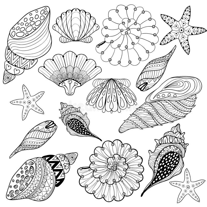 Wektoru set Łuska, zentangle seashells dla dorosłego antego stresu Col royalty ilustracja