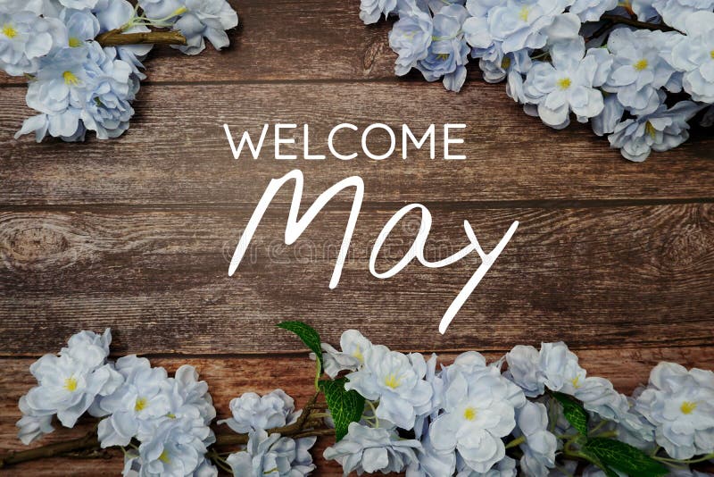 Welcome May Text and Blue Flower Decoration on Wooden Background Stock ...