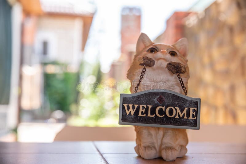 0 Welcome Cat Photos Free Royalty Free Stock Photos From Dreamstime