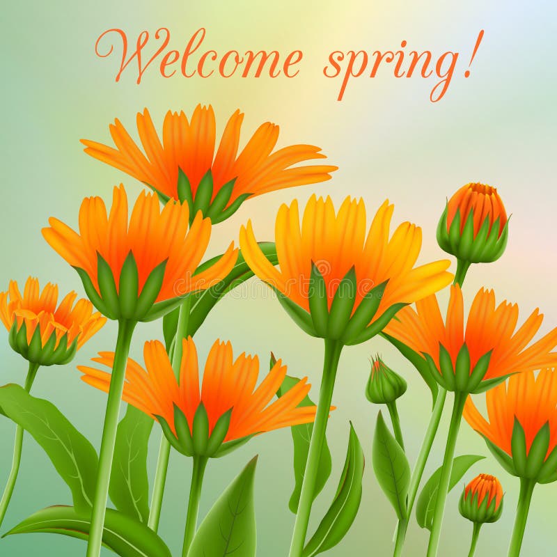 Top 73+ imagem welcome spring background - Thcshoanghoatham-badinh.edu.vn