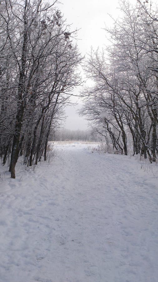 Welcome to the park stock photos