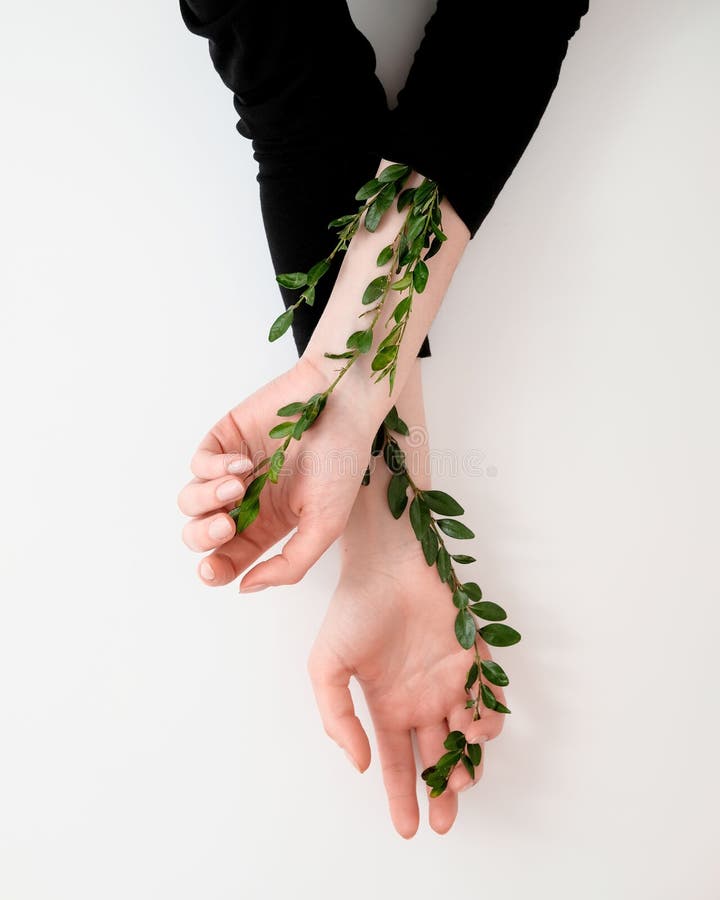 Well groomed woman`s hands with green leaves on the table. Cosmetics for hands anti wrinkle. Natural beauty, tenderness and skin care concept. Fashion art hands