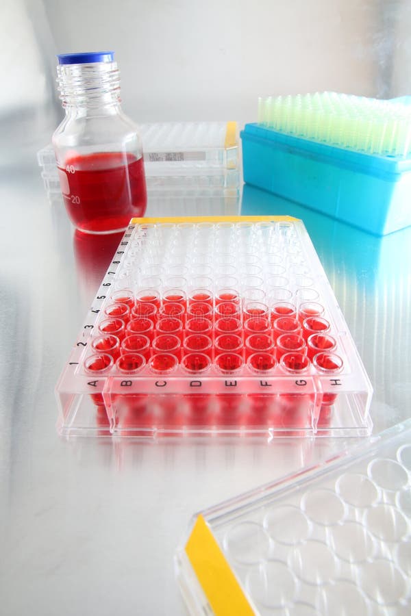 Well Plate With Samples Loaded For Analysis Stock Photo Image of test