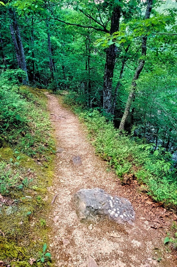 Well Worn Foot Path in the Ozarks