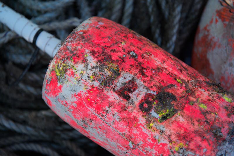 Well worn and used Lobster fisherman trap float stock images