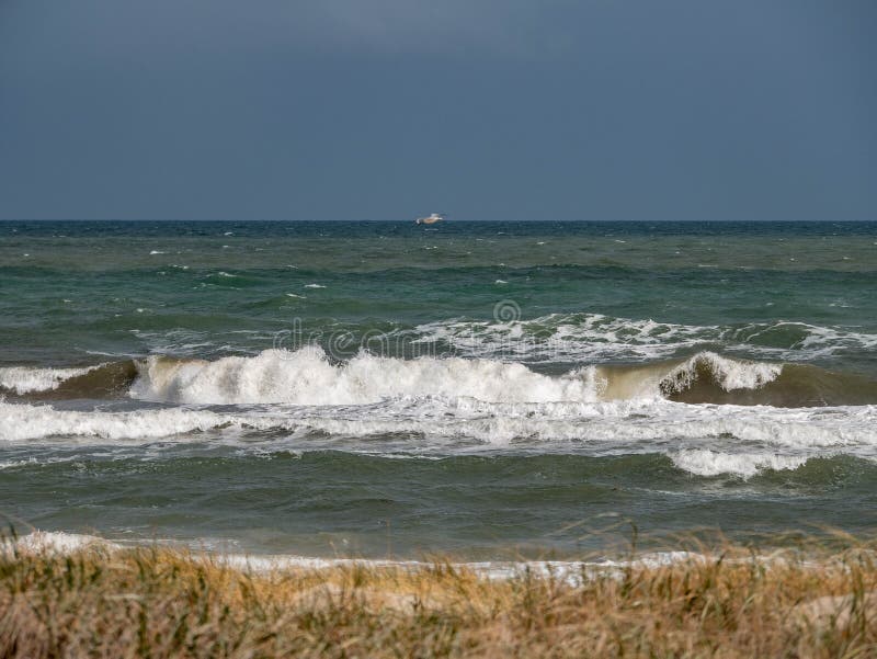 Wellen, die am Strand brechen stockbild Wellen, die am Strand brechen stockbild