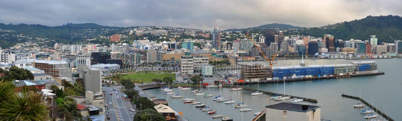 Wellington City Panorama in early Morning, New Zealand