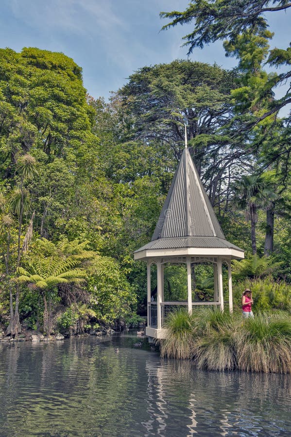 Wellington, New Zealand - March 2, 2016: The duck pond at Wellington Botanic Garden, New Zealand