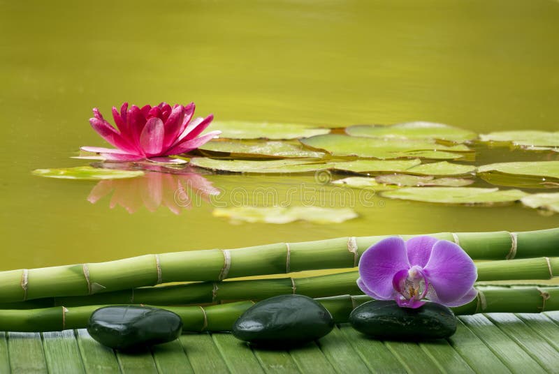 Wellness environment with black stones and orchid