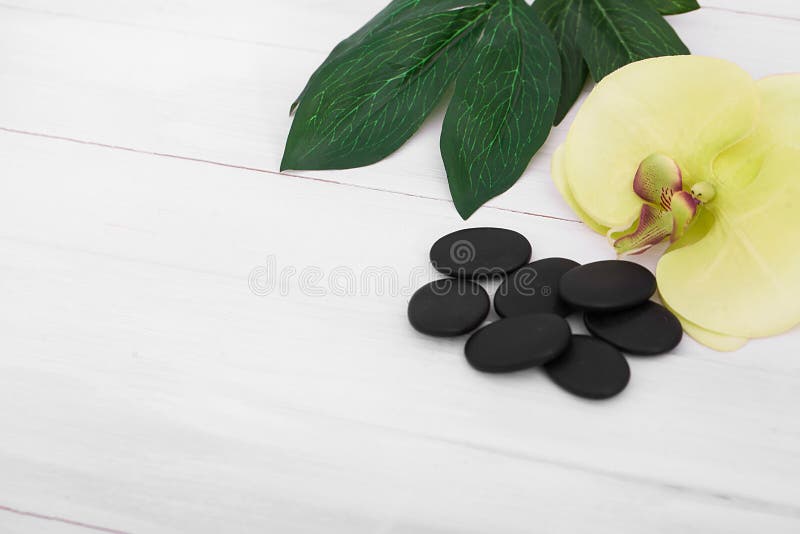 Wellness tło z orchideą kwitnie i zdrój wytłacza wzory: śmietanka, płukanka, ręcznik i zdjęcie royalty free Wellness tło z orchideą kwitnie i zdrój wytłacza wzory: śmietanka, płukanka, ręcznik i zdjęcie royalty free