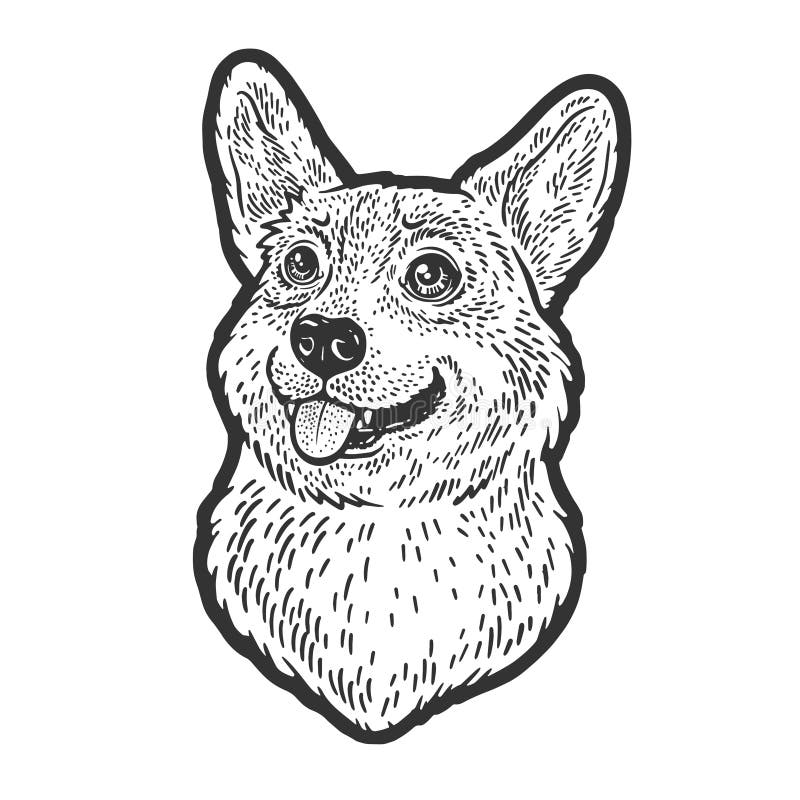 Welsh Corgi Dog Sketch Vector Illustration Stock Vector - Illustration ...