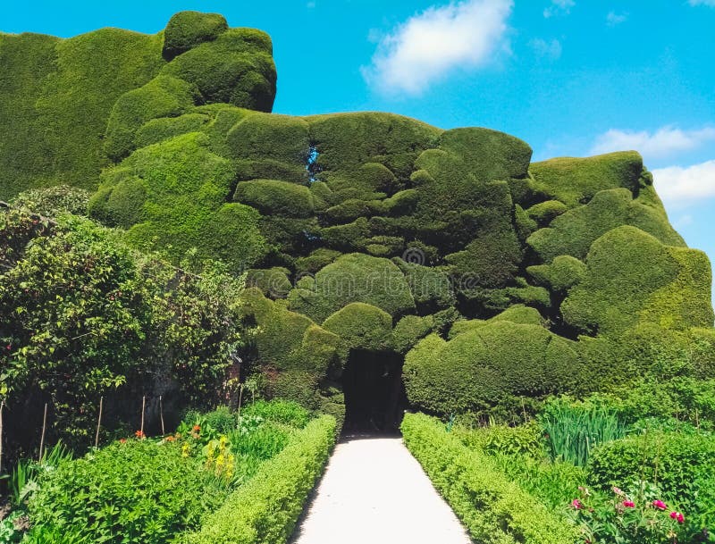 Gardens and Flowers Interesting Plant Discovered at Gladstone