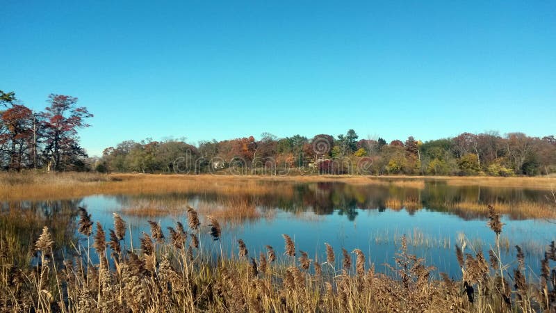 Welwyn-Konserven-Grafschafts-Park Long Island, neues Youk lizenzfreies stockfoto Welwyn-Konserven-Grafschafts-Park Long Island, neues Youk lizenzfreies stockfoto