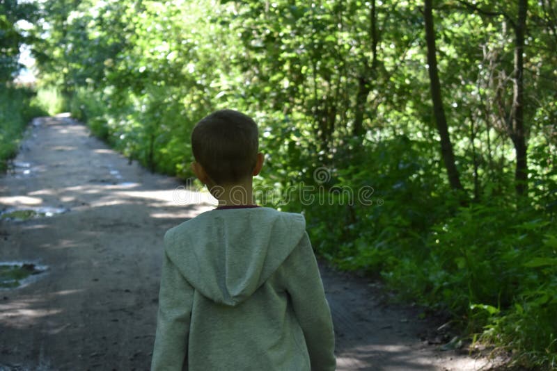 Wenig Junge im Wald auf Sommer stockbilder Wenig Junge im Wald auf Sommer stockbilder
