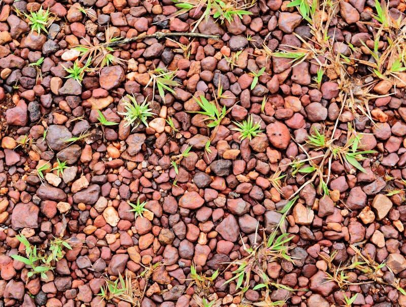 Wenig roter Stein und kleines grünes Gras lizenzfreies stockfoto Wenig roter Stein und kleines grünes Gras lizenzfreies stockfoto