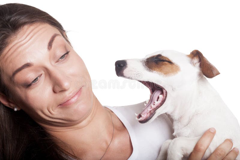 Wenn Ihr Hund riecht stockfoto. Bild von doggy, ekeln 96689256