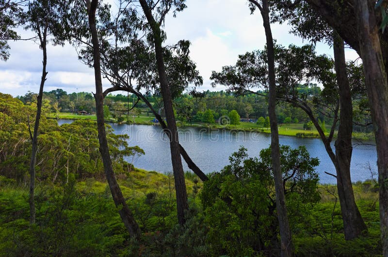 Wentworth Falls Lake Blue Mountains Australia Foto de archivo Imagen