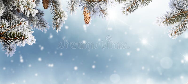 Wesołych świąt Bożego Narodzenia i szczęśliwego noworocznego powitania Zimowy krajobraz z śniegiem