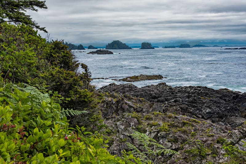 West coast Vancouver Island near Ucluelet British Columbia Canada