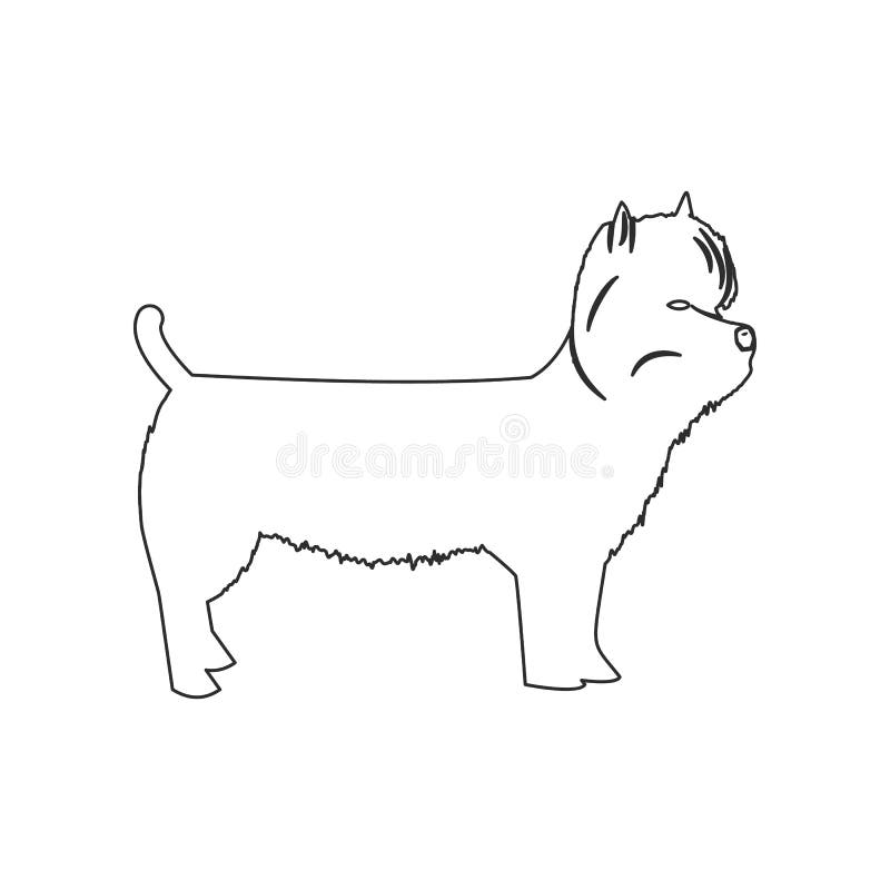 West Highland Terrier icon. Element of dog for mobile concept and web apps icon. Outline, thin line icon for website design and royalty free illustration