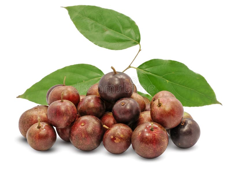 Indian cherry fruit stock photo. Image of dessert, gourmet 31997090