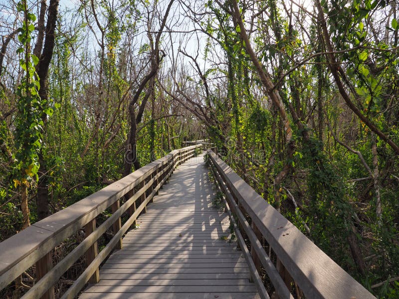 West Lake Boardwalk in Everglades National Park.