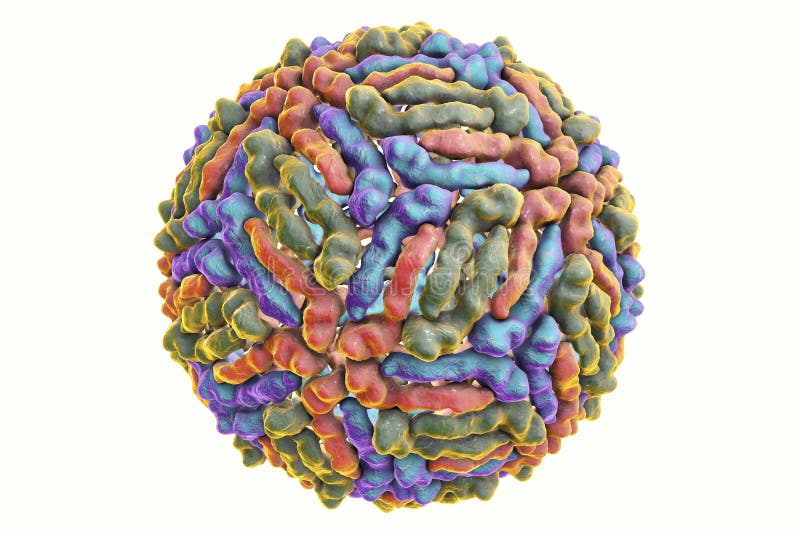 West Nile Virus Stock Illustration Illustration Of Render 80556580