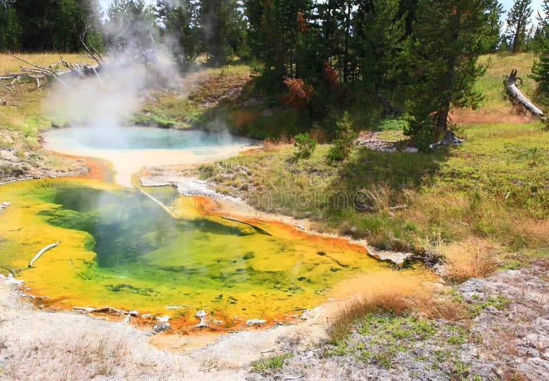 West Thumb Geyser Basin in Yellowstone