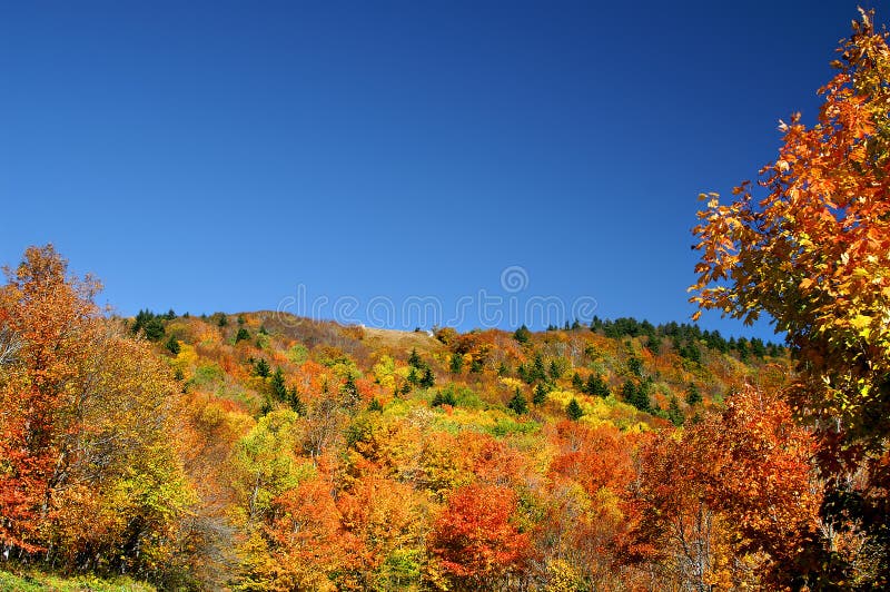 West Virginia Hillside in Autumn Horizontal