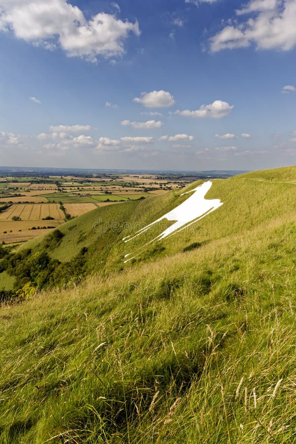 Westbury White Horse, Wiltshire, UK Editorial Photography Image of