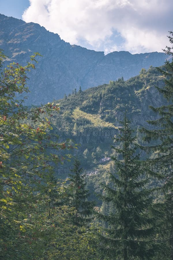 Western carpathian mountain panorama in clear day - vintage retro look