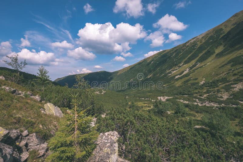 Western carpathian mountain panorama in clear day - vintage retro look