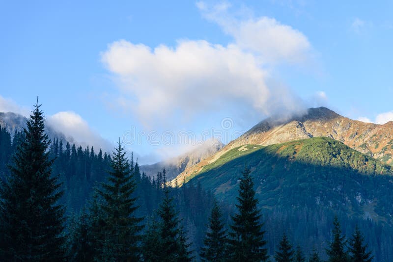 Mountain tops in autumn covered in mist or clouds