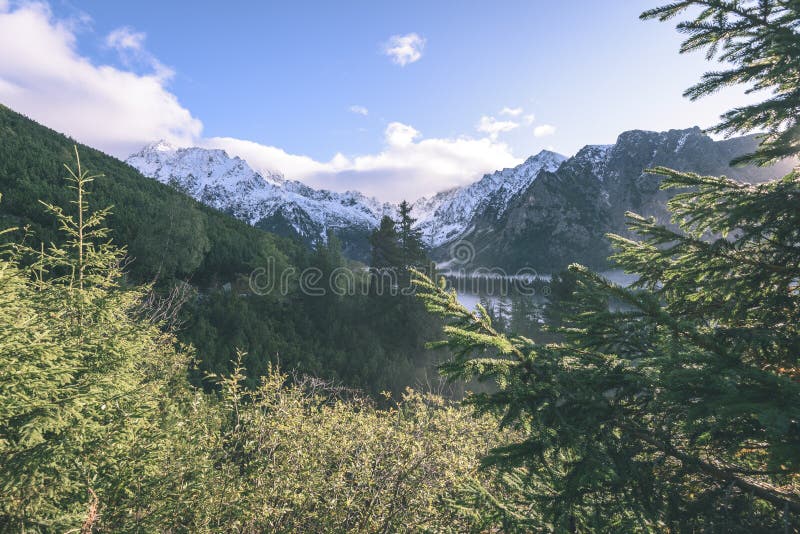 Misty morning view in wet mountain area in slovakian tatra. autumn colored forests - vintage film look