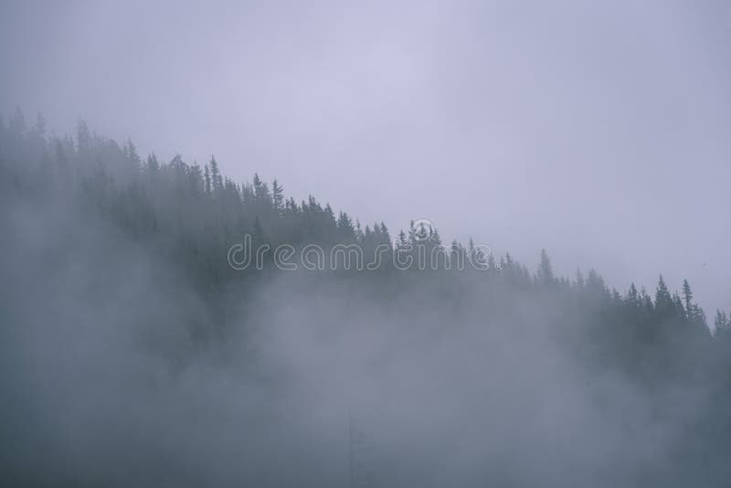 Misty morning view in wet mountain area in slovakian tatra. autumn colored forests - vintage film look