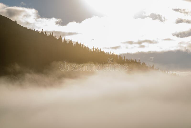 Misty morning view in wet mountain area in slovakian tatra