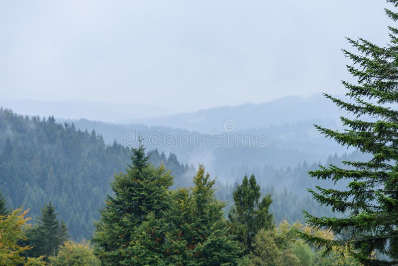 Mountain tops in autumn covered in mist or clouds