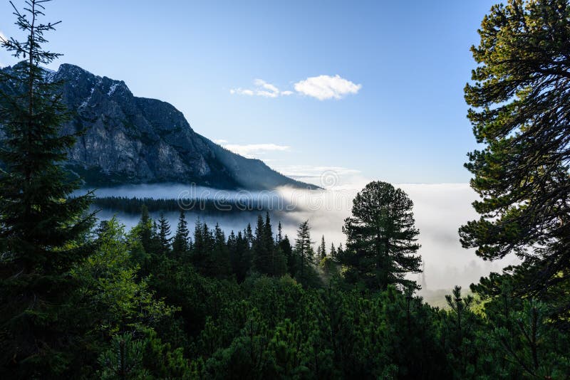 Mountain tops in autumn covered in mist or clouds in sunny day