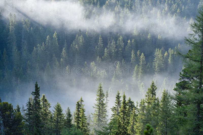 Mountain tops in autumn covered in mist or clouds in sunny day