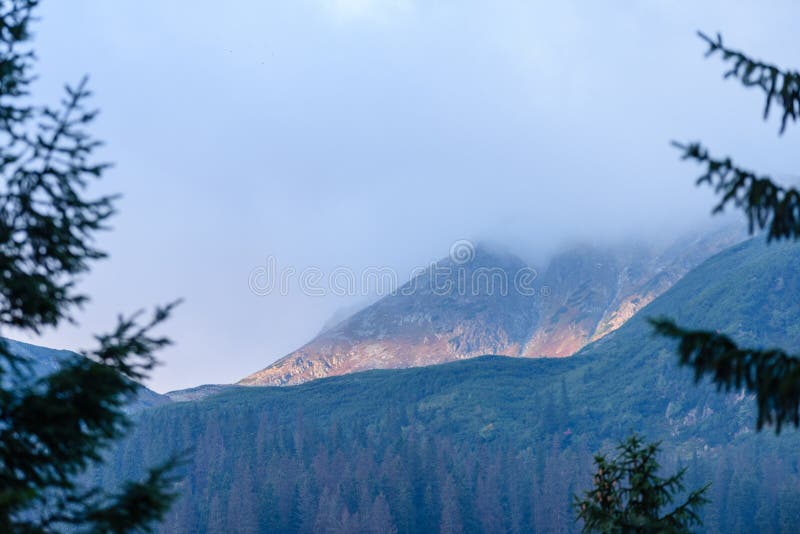 Mountain tops in autumn covered in mist or clouds in sunrise li
