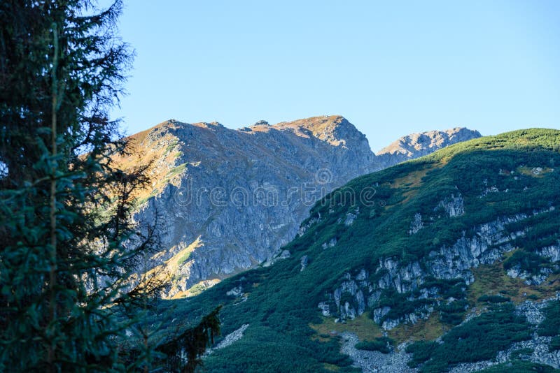 Mountain tops in autumn covered in mist or clouds in sunrise li