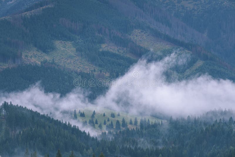 Misty morning view in wet mountain area in slovakian tatra - vintage film look