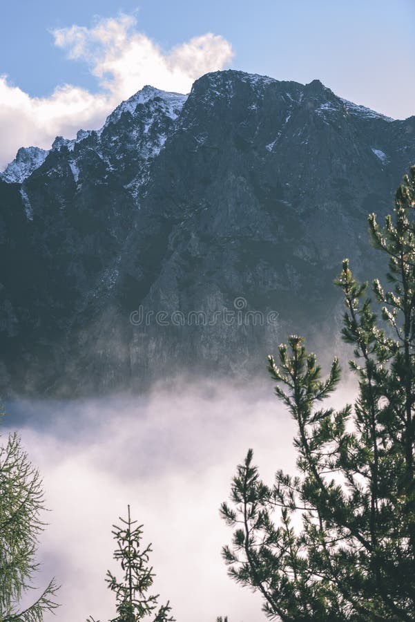 Misty morning view in wet mountain area in slovakian tatra - vintage film look