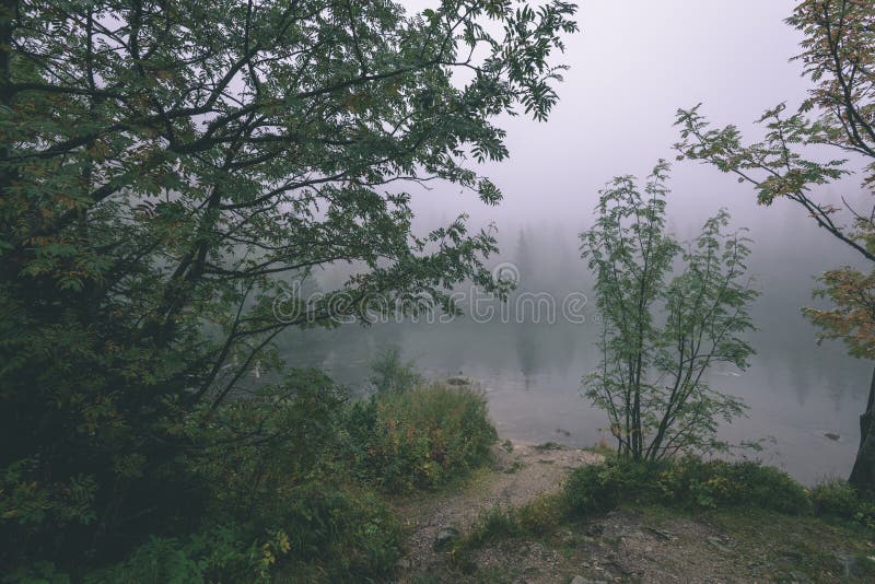 Misty morning view in wet mountain area in slovakian tatra - vintage film look