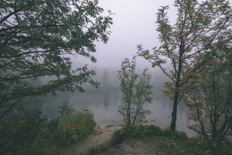 Misty morning view in wet mountain area in slovakian tatra - vintage film look